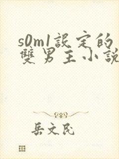 s0m1设定的双男主小说