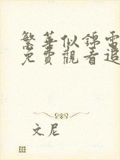 繁华似锦电视剧免费观看追剧网