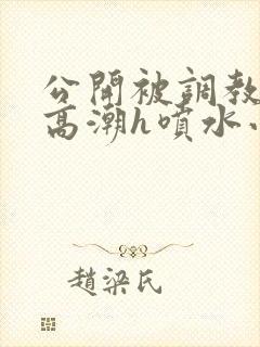 公开被调教当众高潮h喷水小说