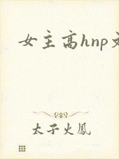 女主高hnp文