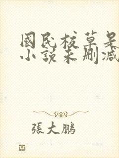 国民校草是女生小说未删减版