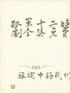 孤军十二时电视剧全集免费播放高清