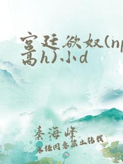 宫廷欲奴(np高h)小d