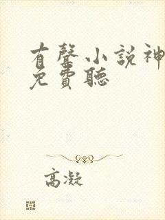 有声小说神王令免费听