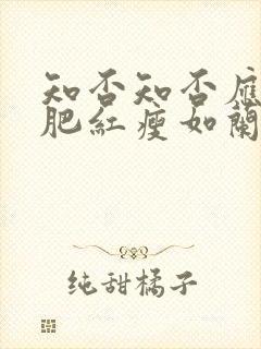 知否知否应是绿肥红瘦如兰结局