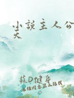 小说主人公杨小天