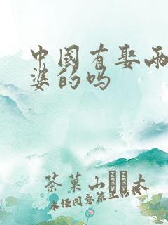 中国有娶两个老婆的吗