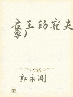 夜王的宠夫(女尊)