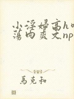 小淫妇高h喷水荡肉爽文np文