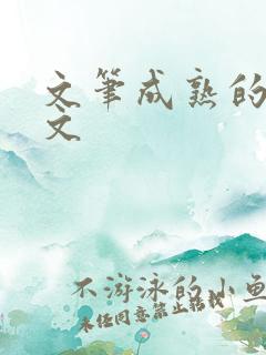 文笔成熟的宅斗文