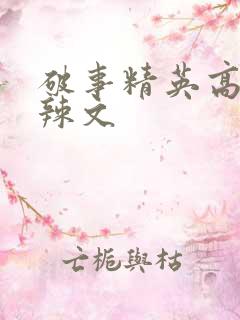 破事精英高h肉辣文