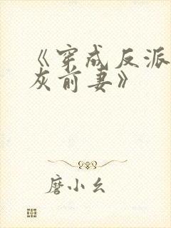 《穿成反派的炮灰前妻》