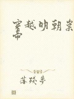 穿越明朝崇祯皇帝