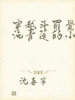 穿越斗罗觉醒混沌青莲的小说