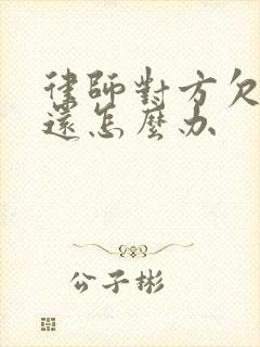 律师对方欠钱不还怎么办