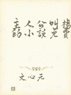 主人公叫杨小天的小说免费阅读