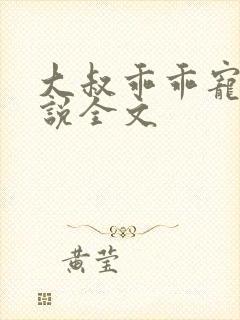 大叔乖乖宠我小说全文