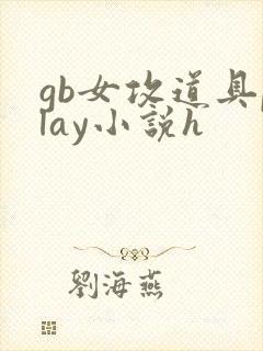 gb女攻道具play小说h