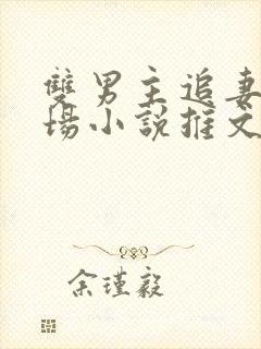 双男主追妻火葬场小说推文