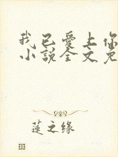 我已爱上你陈超小说全文免费阅读