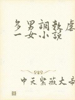 多男调教虐玩弄一女小说