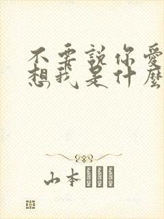 不要说你爱我你想我是什么歌名