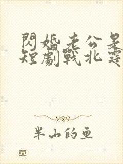 闪婚老公是豪门短剧战北霆