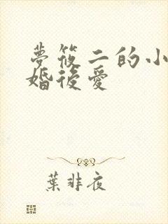 梦筱二的小说先婚后爱