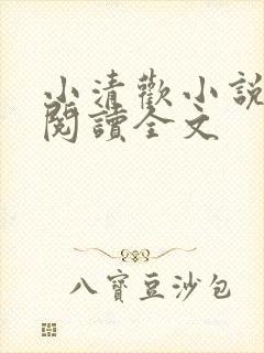 小清欢小说在线阅读全文