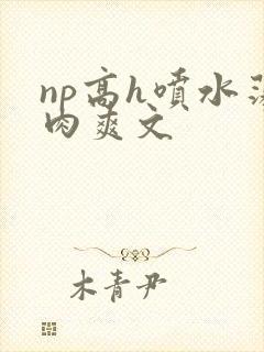 np高h喷水荡肉爽文