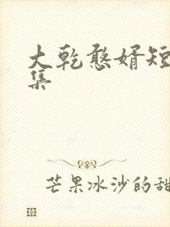 大乾憨婿短剧合集