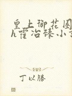 皇上御花园hlh霍冶臻小说