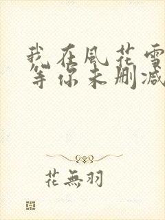 我在风花雪月里等你未删减