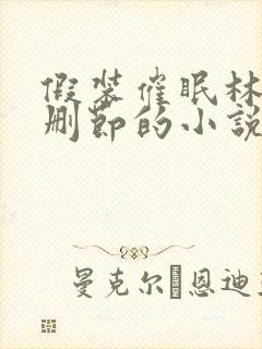 假装催眠林澈未删节的小说