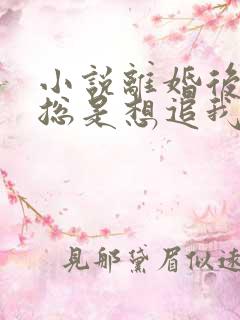 小说离婚后前夫总是想追我免费看