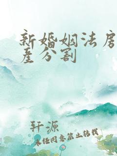 新婚姻法房屋财产分割