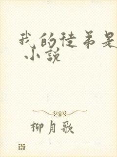 我的徒弟是女帝 小说