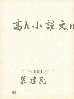 高h小说文np