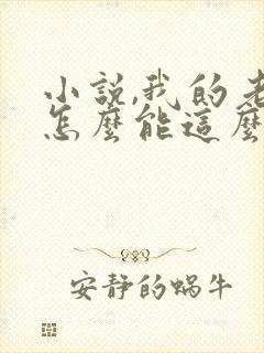 小说,我的老婆怎么能这么可爱?