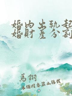 婚内出轨起诉离婚财产分割