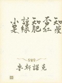 小说知否知否应是绿肥红瘦未删减