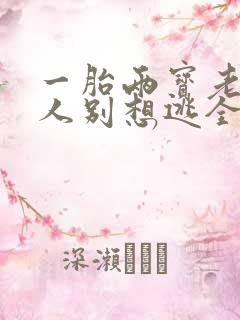 一胎两宝老婆大人别想逃全文免费阅读