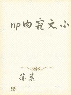 np肉宠文小说
