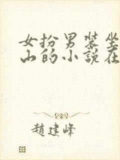 女扮男装坐拥江山的小说在哪可以开