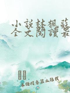 小说林枫苏慕白全文阅读最新章节