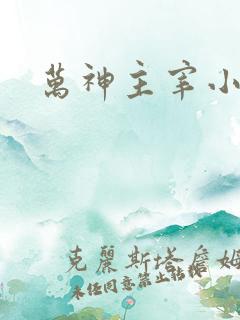 万神主宰小说版