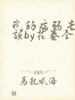 我的病弱老婆小说by花卷全文免费阅读