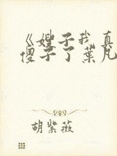 《嫂子我真不是傻子了叶凡》