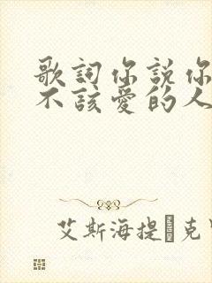 歌词你说你爱了不该爱的人是什么歌