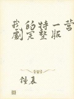 我的特一营电视剧完整版